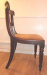 Wm IV dining chairs with turned reeded front legs with sabre rear legs