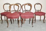 Victorian Mahogany Balloon Back Chairs 